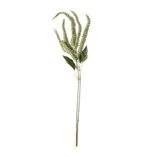 Green Amaranthus Stem by Ashland&#xAE;